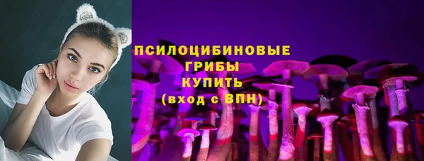 тгк Алзамай