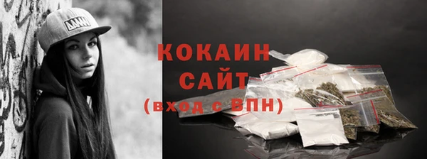 тгк Алзамай