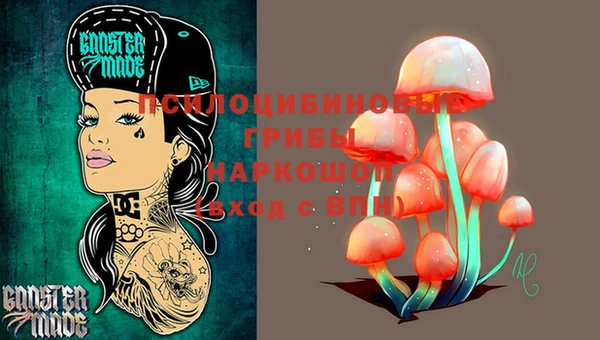 тгк Алзамай