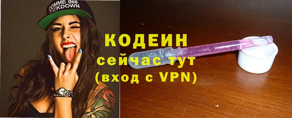 шишки Абаза